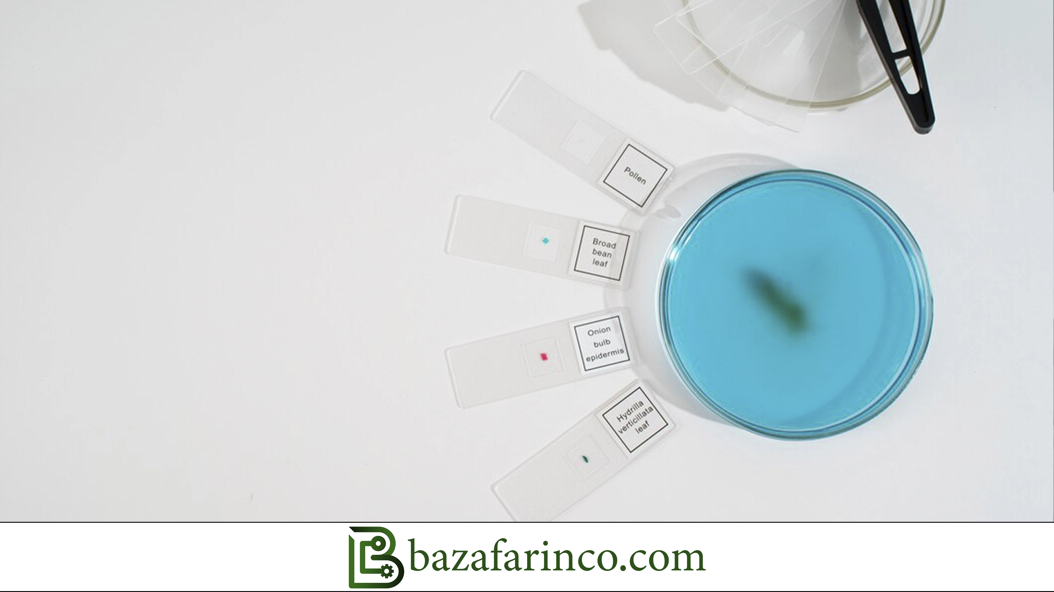 نمونه&zwnj;های موفق بازیافت پلیمری در ایران و جهان