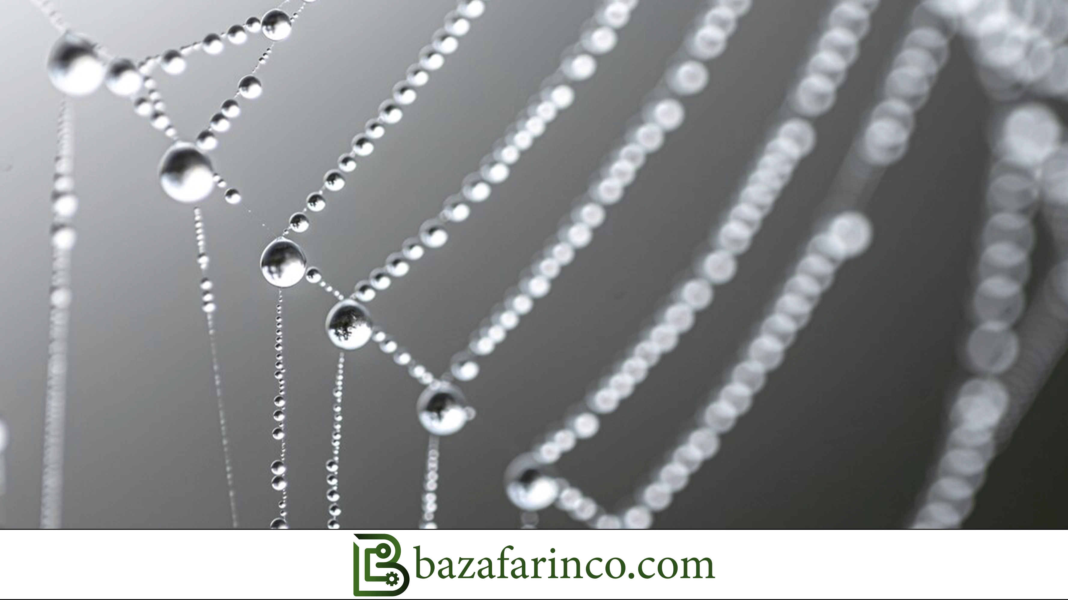 تاثیر افزودنی&zwnj;ها بر بهینه&zwnj;سازی اقتصادی و کیفیت نهایی