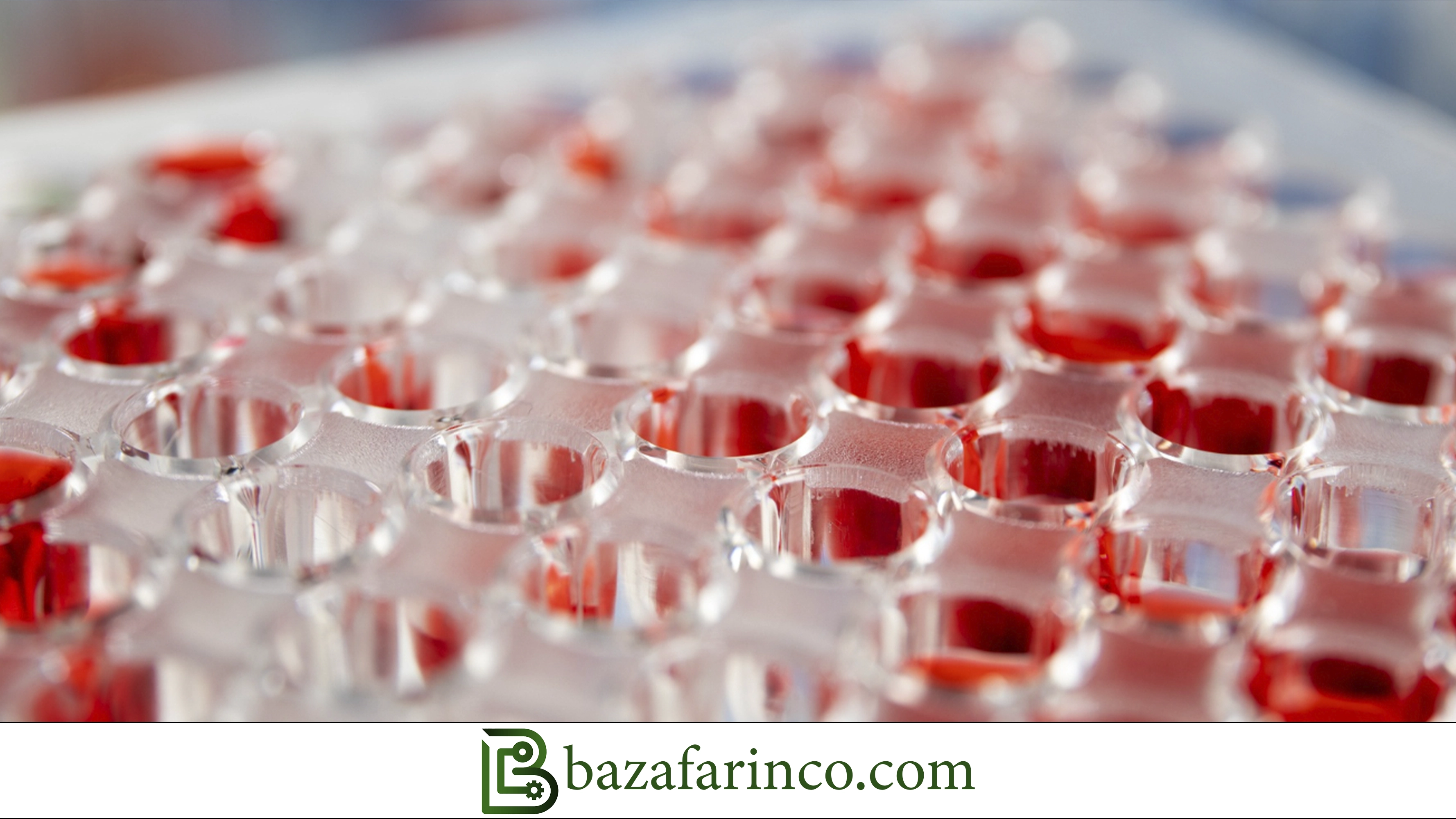 آزمونهای کیفیت پلیمر